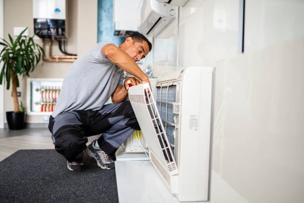 Best Air Duct Mold Removal  in Morgan City, LA