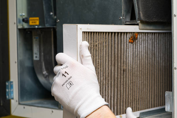 Best Local Air Duct Cleaning Services  in Morgan City, LA
