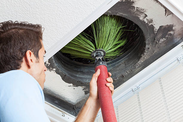 Best HVAC Air Duct Cleaning  in Morgan City, LA