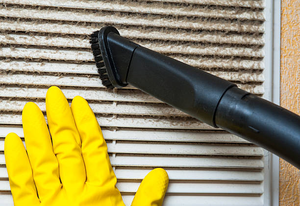 Best HVAC Duct Inspection Services  in Morgan City, LA